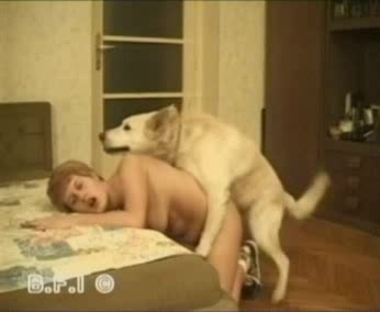 Zoo porno sex - Free Zoo Porn