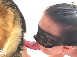 Russian dog sex video