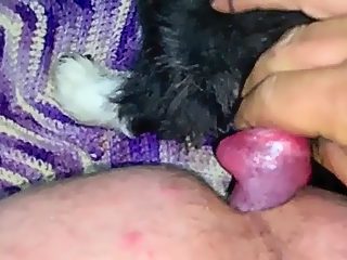 Gay fucks with dog in ass