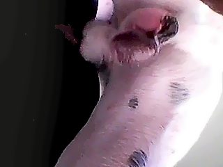 Zoo porn ebony