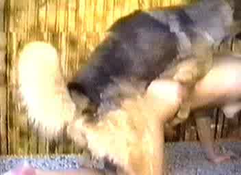 Zoo sex video