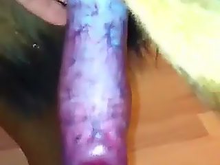 Dog cum after mans jerk off