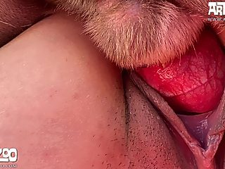 Animal and girl sex public