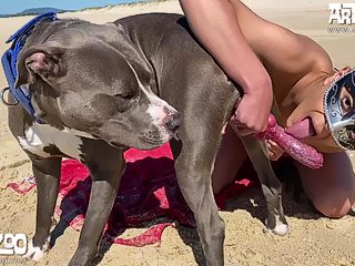 Animal and girl sex public