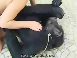 Porn animal: monkey and woman