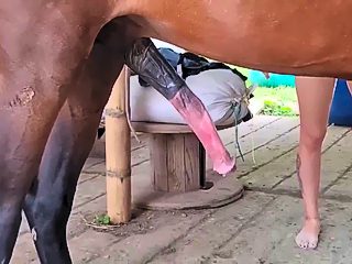 Horse girl zoo sex