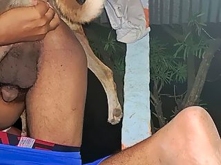 Gay fucked by animal