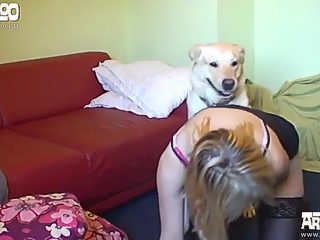 Porn zoo - sex dog and teen
